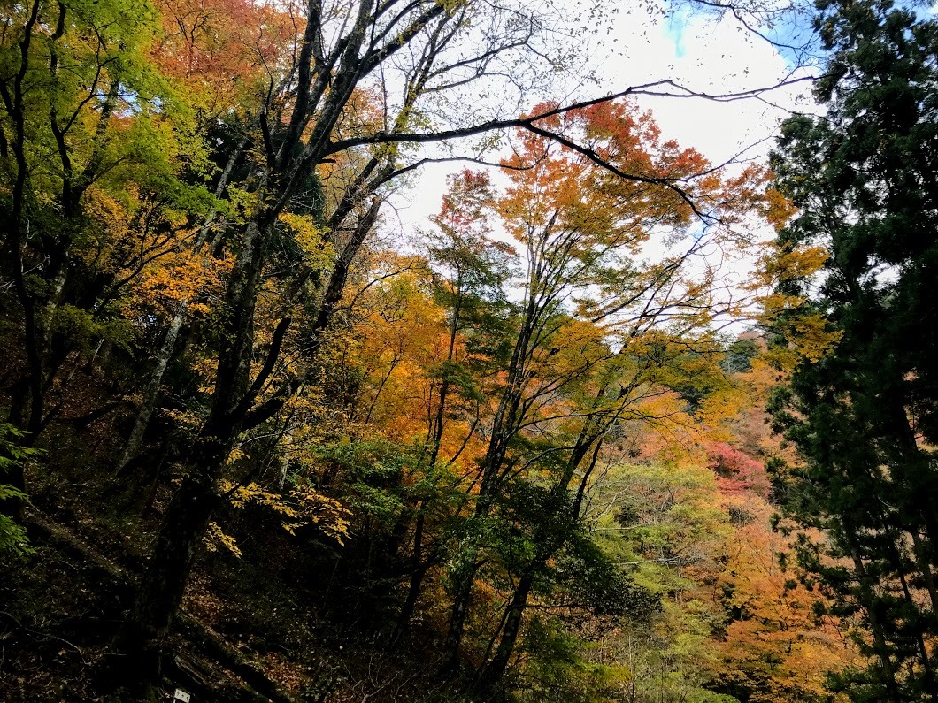 e0024081_12444218.jpg