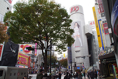 b0056983_18234230.jpg