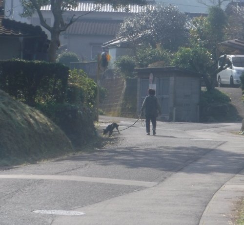 波佐見町へ_d0195183_00133101.jpeg