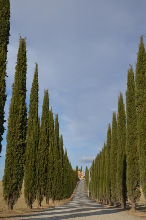 f0169885_05132606.jpg