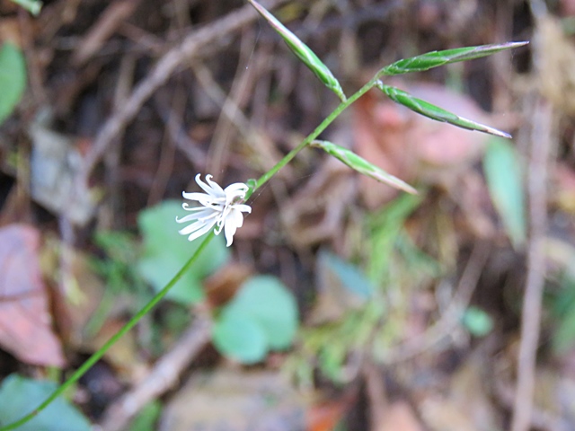 f0357487_224642100.jpg