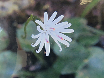 f0357487_22475523.jpg
