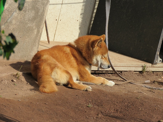f0357487_239371.jpg