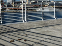 b0192588_9283740.jpg