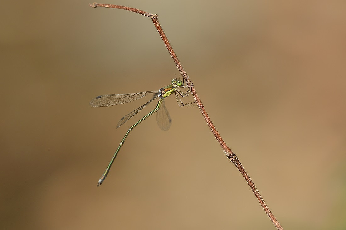 e0353790_19574803.jpg