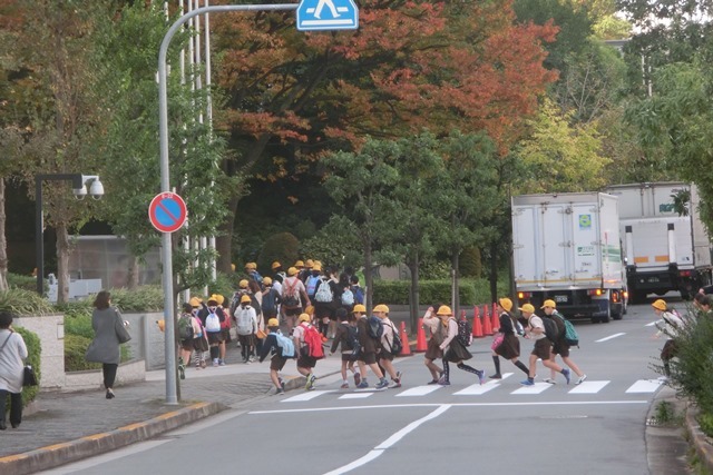 藤田八束の鉄道写真@素敵な秋に素晴らしい情景・・・鉄道写真、路面電車_d0181492_21190455.jpg