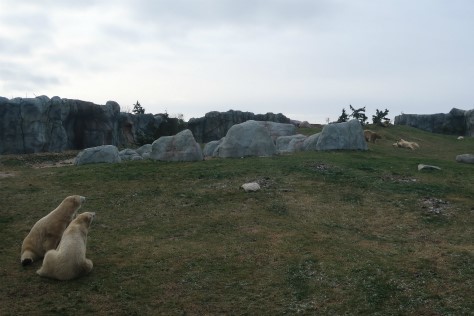 f0297893_15460435.jpg