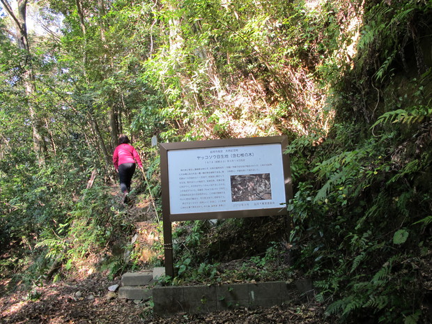 a0166196_14574887.jpg
