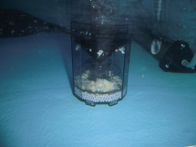 e0143096_13211049.jpg