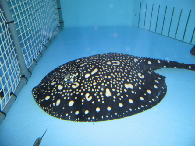 e0143096_13211612.jpg