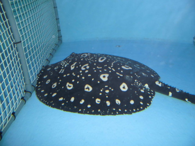 e0143096_13212385.jpg