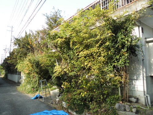 c0108198_15382382.jpg