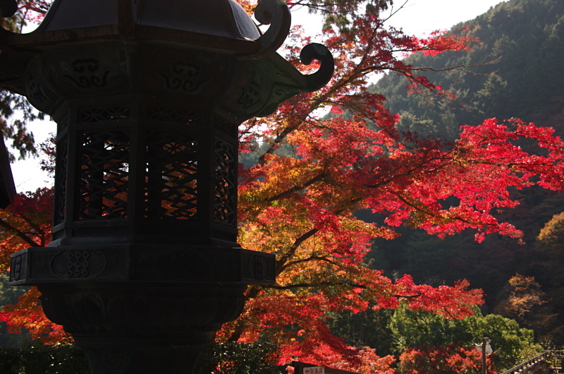 善峯寺　　紅葉_c0382798_17384449.jpg