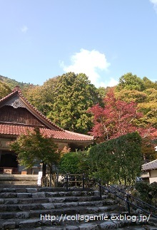 a0223701_12085435.jpg