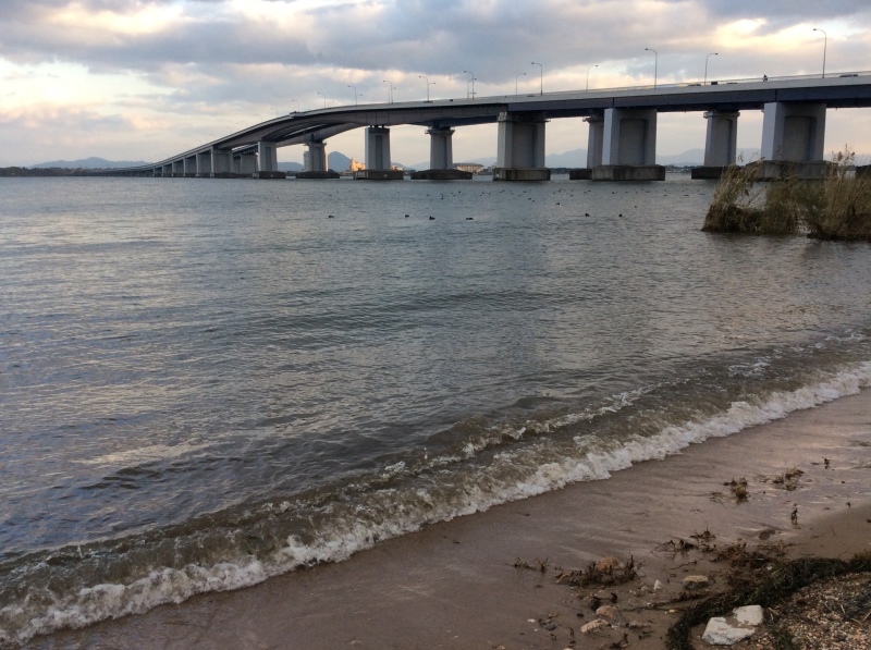 b0220002_19461581.jpeg