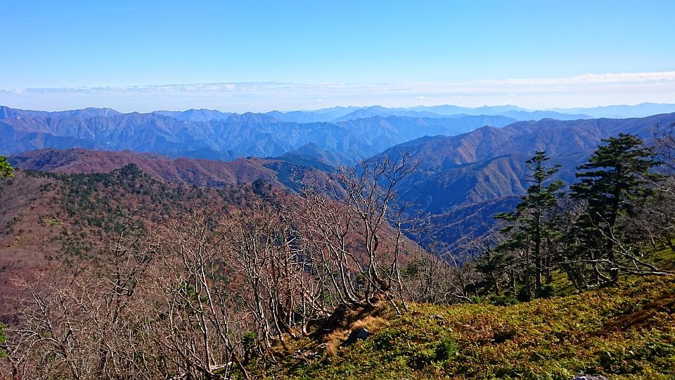 b0172805_13492830.jpg