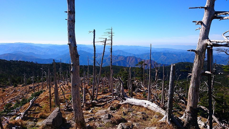 b0172805_13502851.jpg