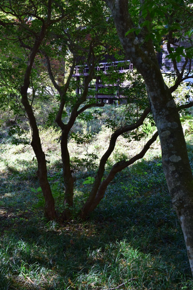 埼玉県秩父市の秩父宮殿下三峯山御登山記念館(建築家・関根要太郎作品再見)_f0142606_11310065.jpg