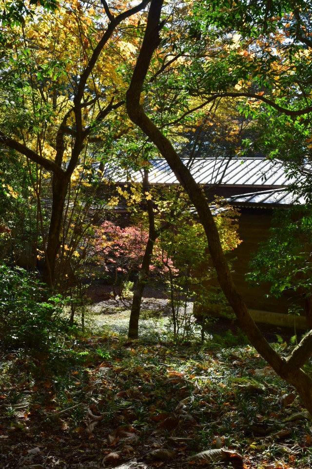 埼玉県秩父市の秩父宮殿下三峯山御登山記念館(建築家・関根要太郎作品再見)_f0142606_11441502.jpg
