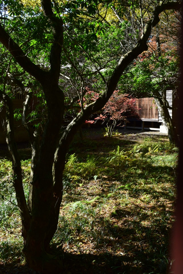 埼玉県秩父市の秩父宮殿下三峯山御登山記念館(建築家・関根要太郎作品再見)_f0142606_11451984.jpg
