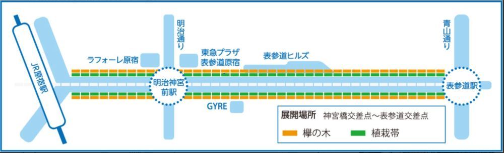 原宿、今年はゴージャス! 11月10日(金) 6219_b0069507_06194029.jpg