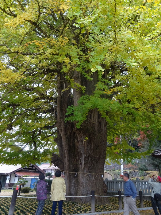 b0052108_20572884.jpg