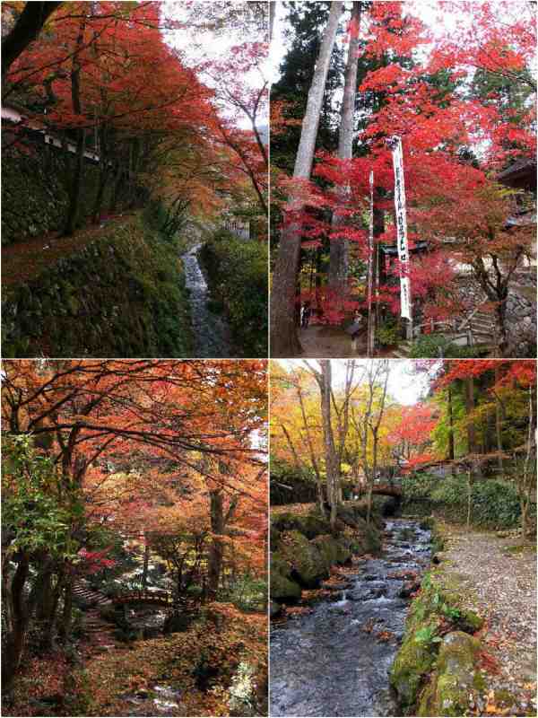 そろそろ紅葉　谷汲山華厳寺・両界山横蔵寺_b0000209_07512370.jpg