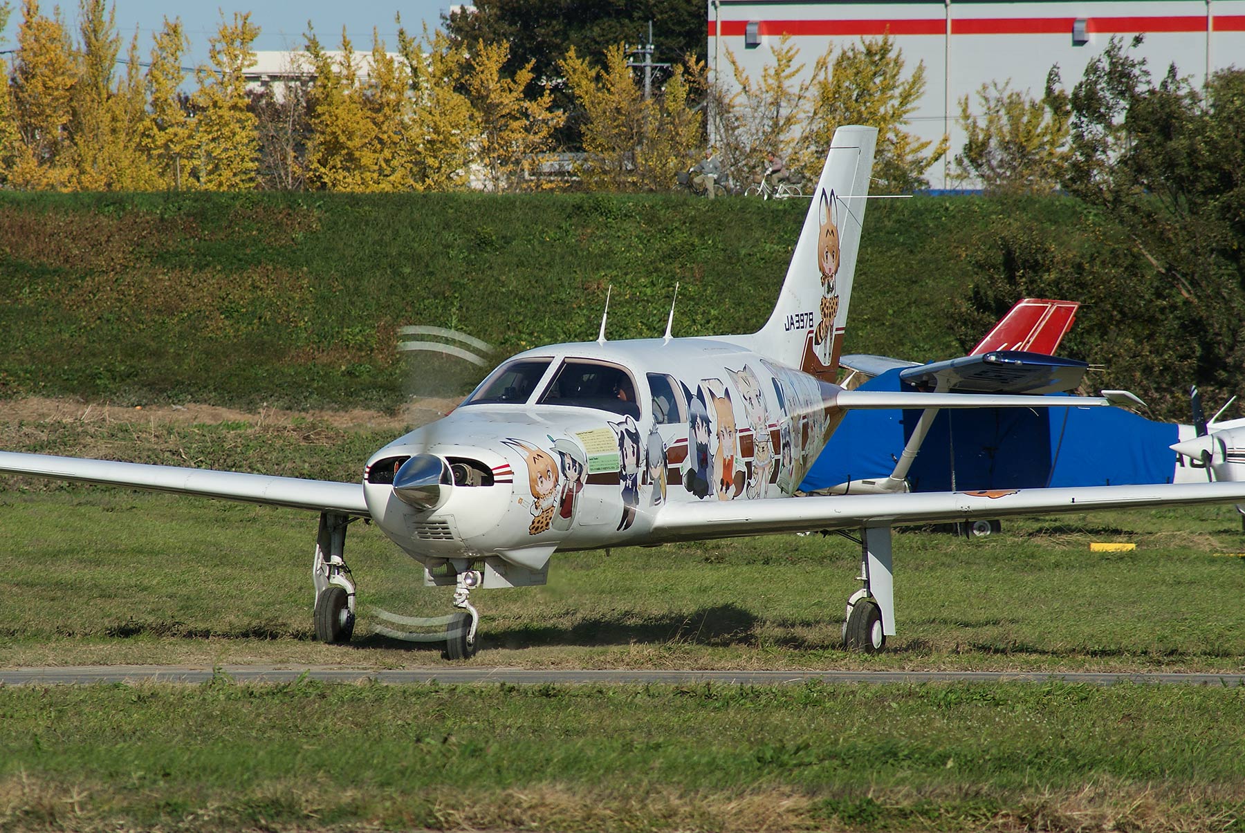 Piper PA-46 Malibu / JA3978 - けものフレンズラッピング機 -_d0226909_22212011.jpg