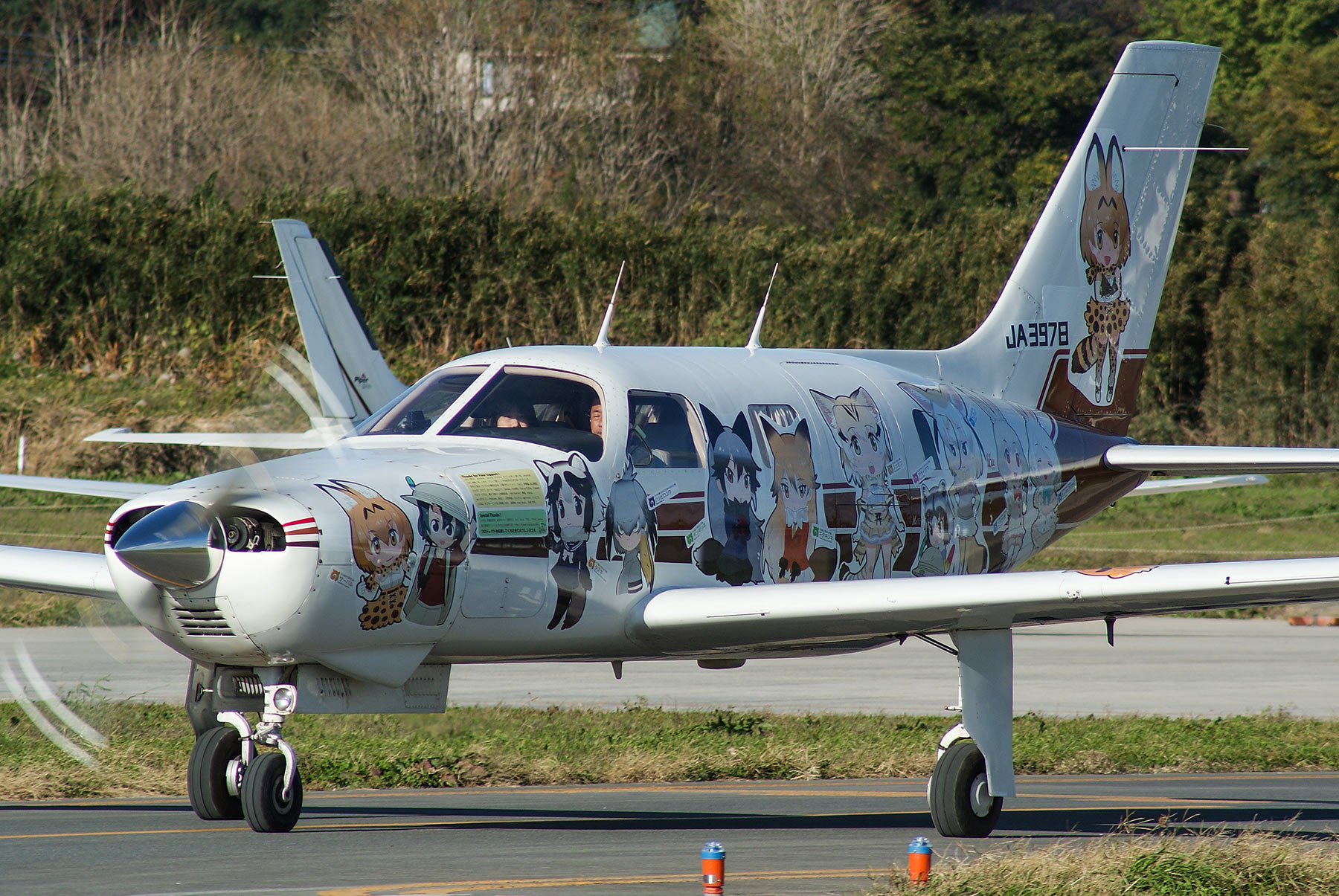 Piper PA-46 Malibu / JA3978 - けものフレンズラッピング機 -_d0226909_22231914.jpg