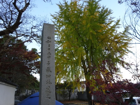f0231709_19572842.jpg