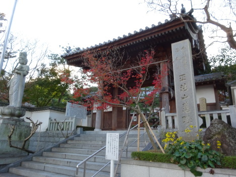 f0231709_20050185.jpg