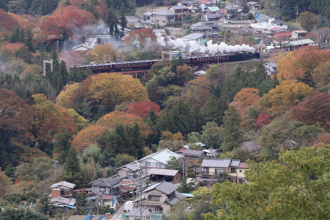 紅葉の始まった浦山口駅 - 秩父・2017年秋 -_b0190710_14110855.jpg
