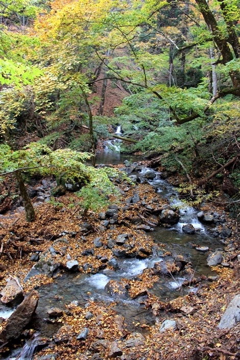 d0361112_20151469.jpg