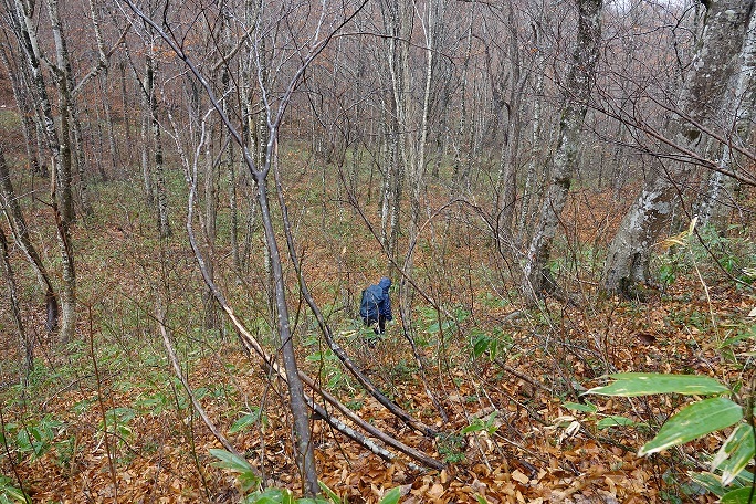 f0360815_16101999.jpg