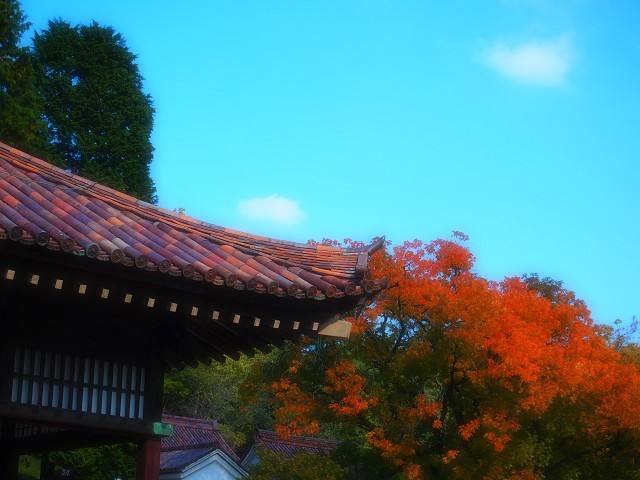 日本遺産第１号の旧閑谷学校_d0295818_23570354.jpg