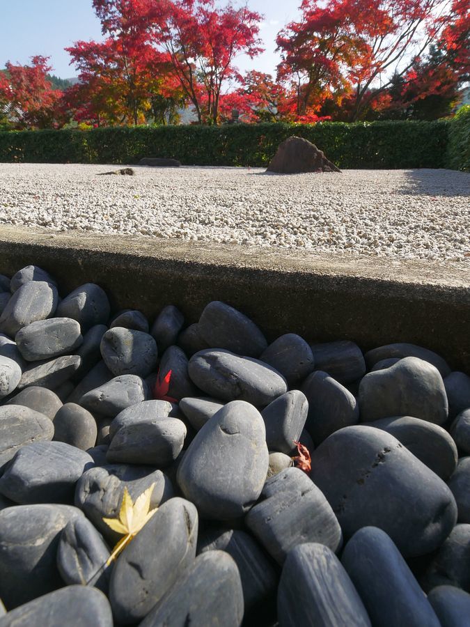 床もみじの宝徳寺は枯山水の石庭も見どころ♪_a0031821_15560307.jpg