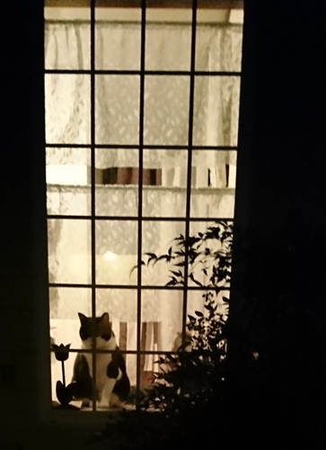 c0013922_10330971.jpg