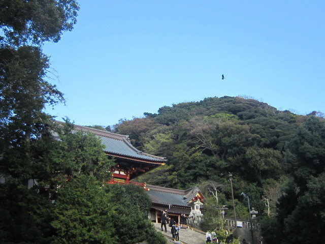 d0162225_16560750.jpg