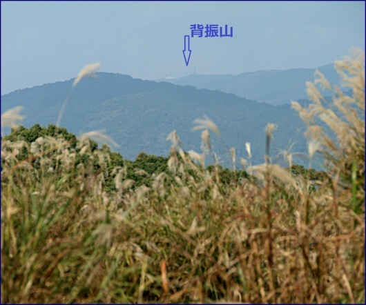 e0081525_19422971.jpg
