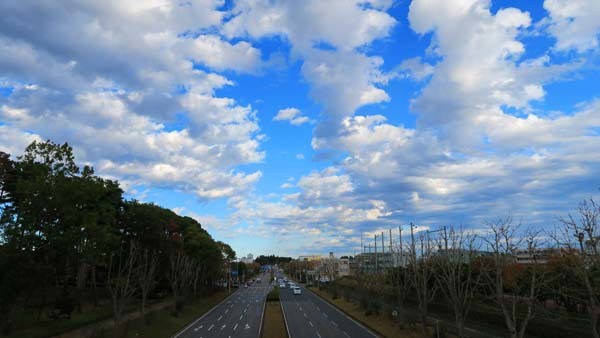 f0147025_23081975.jpg