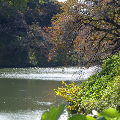 まだまだ紅葉は先_e0059726_14354960.jpg