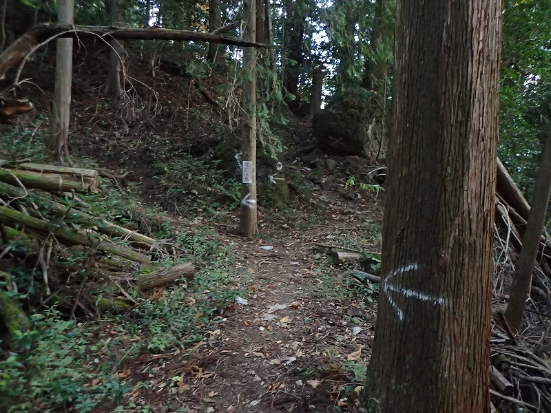 e0284726_10343531.jpg