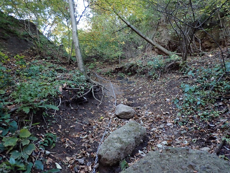 e0284726_10345870.jpg