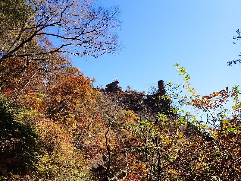 e0284726_1130978.jpg