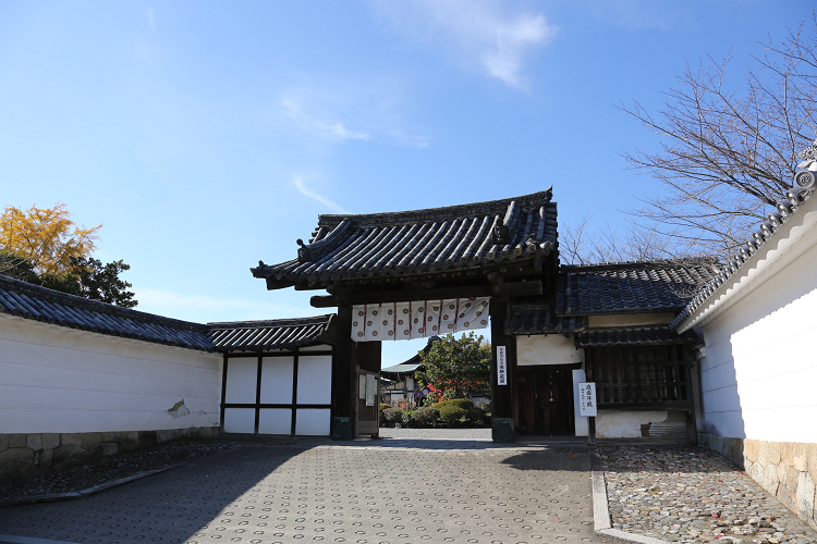 紅葉の醍醐 －勧修寺－ _b0169330_15541572.jpg