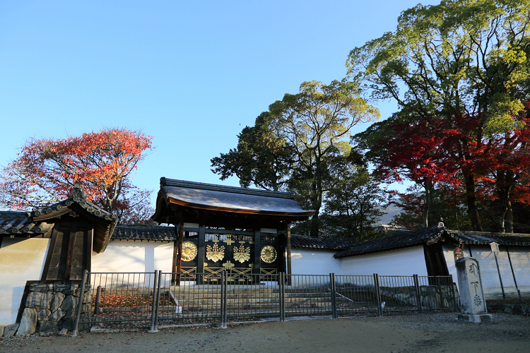 紅葉の醍醐 －醍醐寺（伽藍・前編）－ _b0169330_17281839.jpg