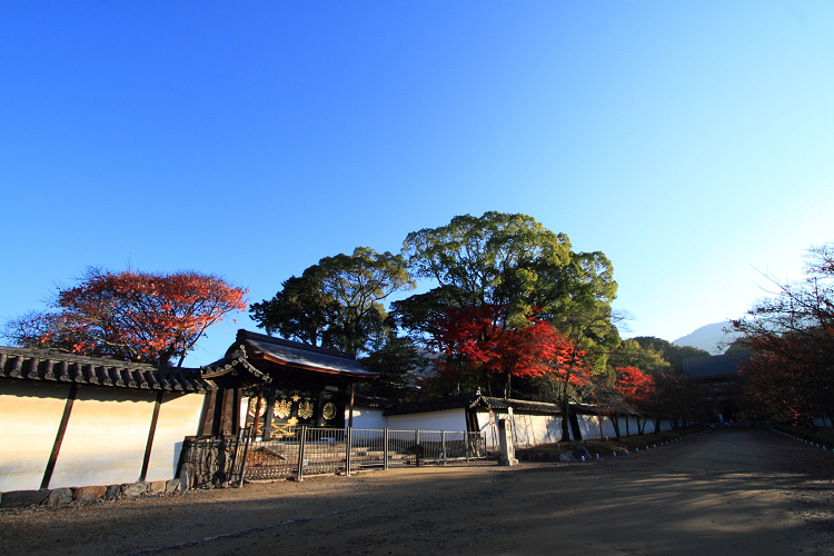 紅葉の醍醐 －醍醐寺（伽藍・前編）－ _b0169330_17285436.jpg