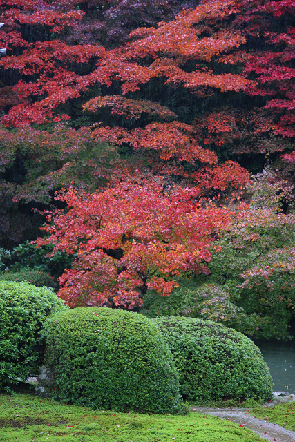 紅葉の醍醐 －随心院－ _b0169330_8105960.jpg