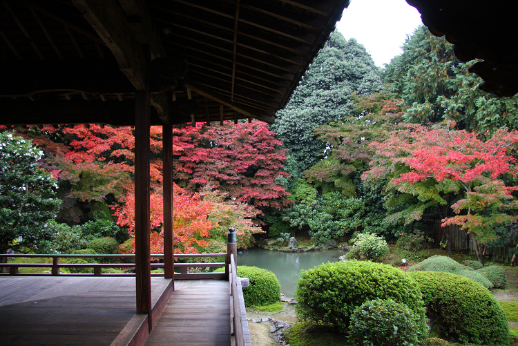 紅葉の醍醐 －随心院－ _b0169330_8114428.jpg