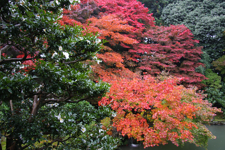 紅葉の醍醐 －随心院－ _b0169330_811496.jpg